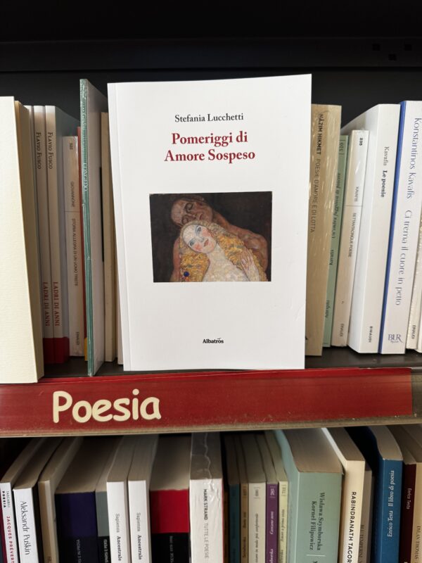 Pomeriggi di Amore Sospeso - immagine 8